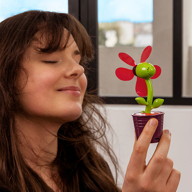 Ventilateur rechargeable - Ventifleur