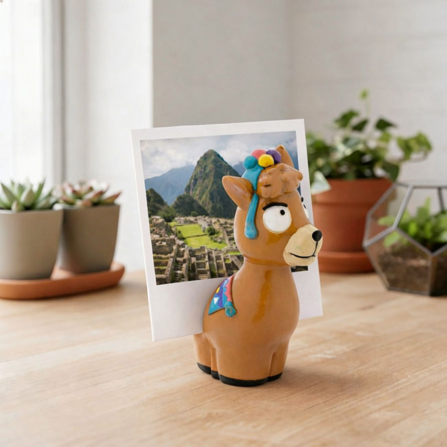 Magnetic photo frame - Zoome